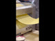 ROGA SF 400 - Pasta Dough Sheeter